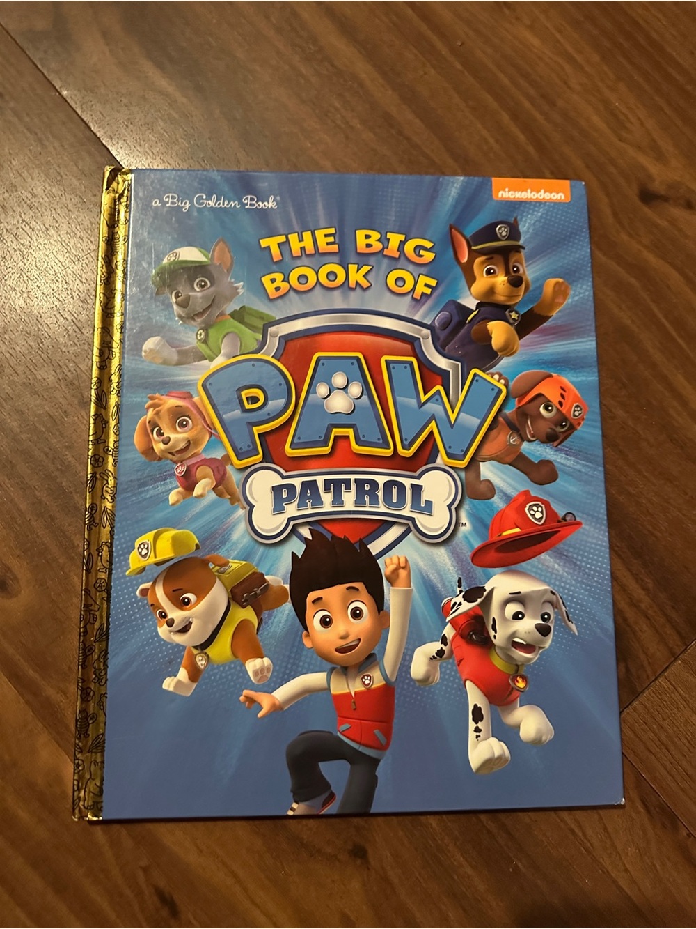 The Big Book of Paw Patrol - NWOT